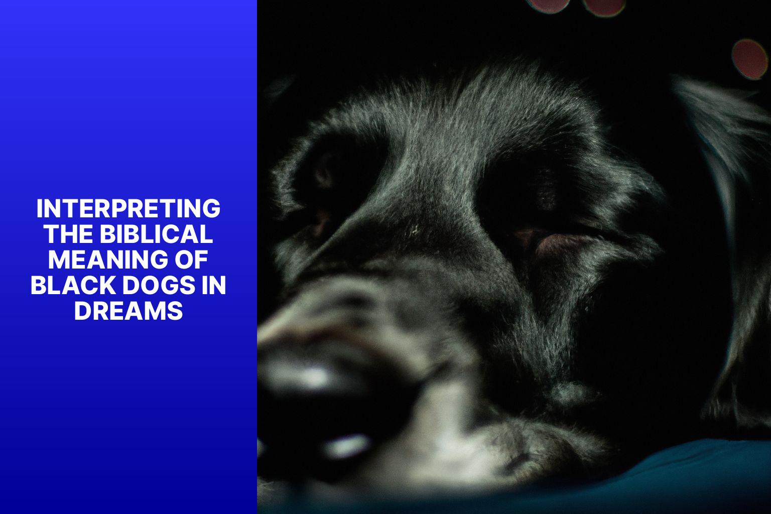 Interpreting the Biblical Meaning of Black Dogs in Dreams - black dog in dream biblical meaning 