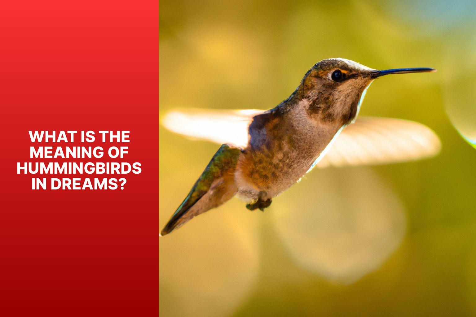 What Is the Meaning of Hummingbirds in Dreams? - hummingbird meaning in dream 