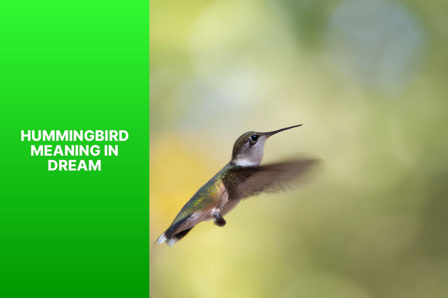 hummingbird meaning in dreamn49b