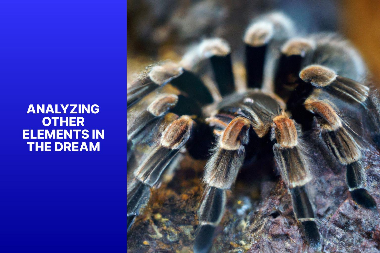 Analyzing Other Elements in the Dream - tarantula dream meaning 